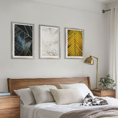 3 paveikslų rinkinys su rėmais Geometriniai raštai ir augmenija