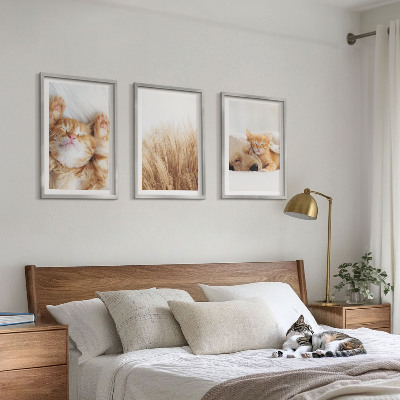 3 paveikslų rinkinys su rėmais Mieli gyvūnai katės šunys bohemiški