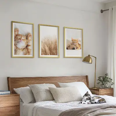 3 paveikslų rinkinys su rėmais bohemiško stiliaus mieli šunų ir kačių atvaizdai