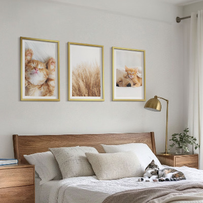 3 paveikslų rinkinys su rėmais Mieli gyvūnai katės šunys bohemiški