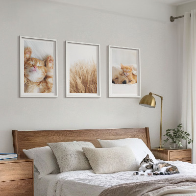 3 paveikslų rinkinys su rėmais Mieli gyvūnai katės šunys bohemiški