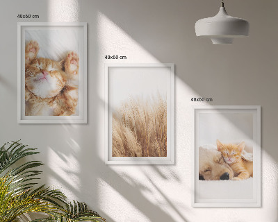 3 paveikslų rinkinys su rėmais Mieli gyvūnai katės šunys bohemiški