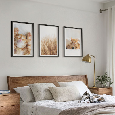 3 paveikslų rinkinys su rėmais Mieli gyvūnai katės šunys bohemiški