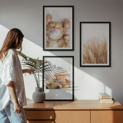 3 paveikslų rinkinys su rėmais Mieli gyvūnai katės šunys bohemiški