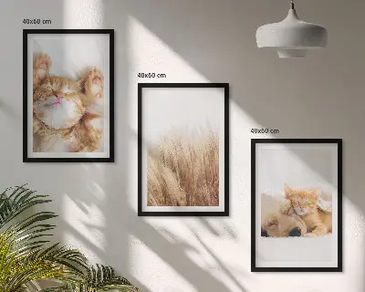 3 paveikslų rinkinys su rėmais bohemiško stiliaus mieli šunų ir kačių atvaizdai