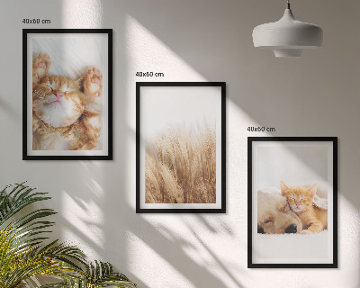 3 paveikslų rinkinys su rėmais Mieli gyvūnai katės šunys bohemiški