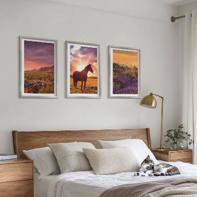 3 paveikslų rinkinys su rėmais Kalnų peizažas su arkliu