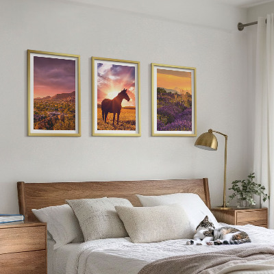 3 paveikslų rinkinys su rėmais Kalnų peizažas su arkliu