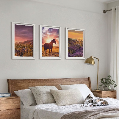 3 paveikslų rinkinys su rėmais Kalnų peizažas su arkliu