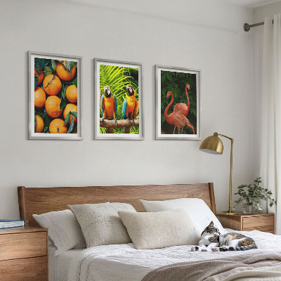 3 paveikslų rinkinys su rėmais Vaisių akcentai tropikuose