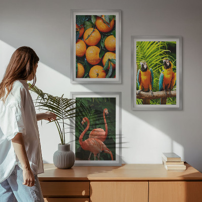 3 paveikslų rinkinys su rėmais Vaisių akcentai tropikuose