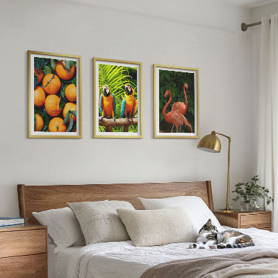 3 paveikslų rinkinys su rėmais Vaisių akcentai tropikuose