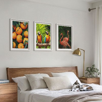 3 paveikslų rinkinys su rėmais Vaisių akcentai tropikuose