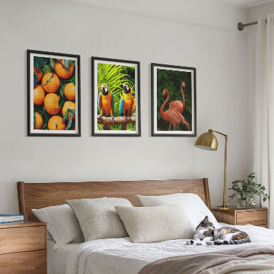 3 paveikslų rinkinys su rėmais Vaisių akcentai tropikuose