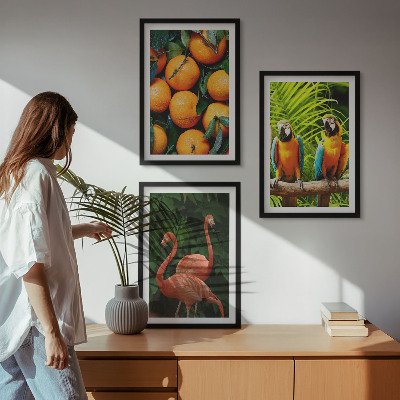 3 paveikslų rinkinys su rėmais Vaisių akcentai tropikuose