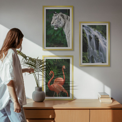 Įrėmintas triptikas Tigro krioklio flamingų gamta