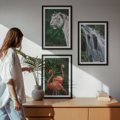 Įrėmintas triptikas Tigro krioklio flamingų gamta