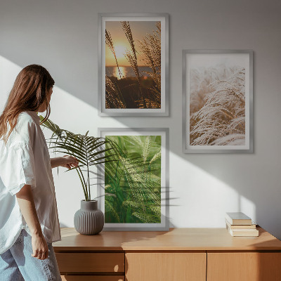 3 paveikslų rinkinys su rėmais Žolės spalvinga gamta