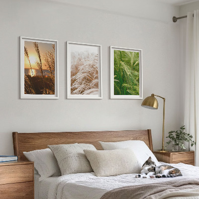 3 paveikslų rinkinys su rėmais Žolės spalvinga gamta