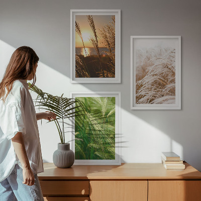 3 paveikslų rinkinys su rėmais Žolės spalvinga gamta