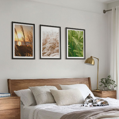 3 paveikslų rinkinys su rėmais Žolės spalvinga gamta