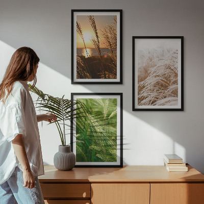 3 paveikslų rinkinys su rėmais Žolės spalvinga gamta