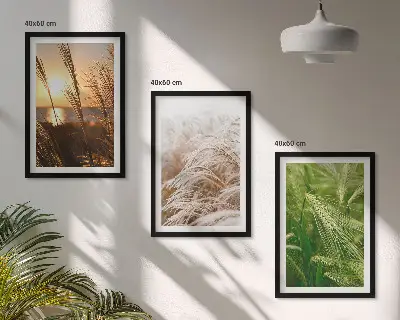 3 paveikslų rinkinys su rėmais spalvinga gamta su žolėmis