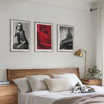 3 paveikslų rinkinys su rėmais Paryžietė su Eifelio akiniais