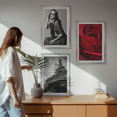 3 paveikslų rinkinys su rėmais Paryžietė su Eifelio akiniais