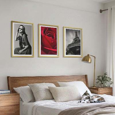 3 paveikslų rinkinys su rėmais Paryžietė su Eifelio akiniais