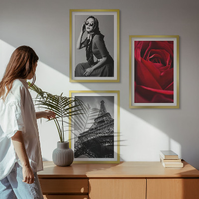 3 paveikslų rinkinys su rėmais Paryžietė su Eifelio akiniais
