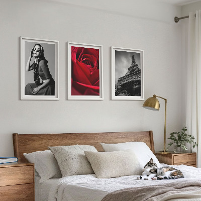 3 paveikslų rinkinys su rėmais Paryžietė su Eifelio akiniais