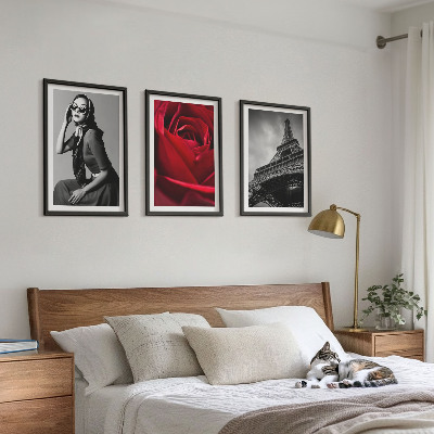 3 paveikslų rinkinys su rėmais Paryžietė su Eifelio akiniais