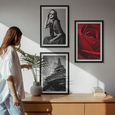 3 paveikslų rinkinys su rėmais Paryžietė su Eifelio akiniais