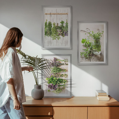 3 paveikslų rinkinys su rėmais Žoliniai augalai virtuvei