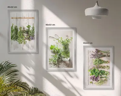 Žoliniai augalai 3 paveikslų rinkinys su rėmais