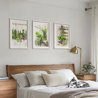 Žoliniai augalai 3 paveikslų rinkinys su rėmais