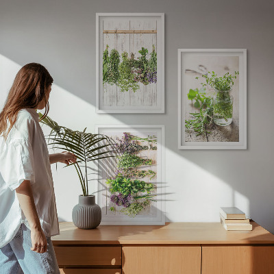 3 paveikslų rinkinys su rėmais Žoliniai augalai virtuvei