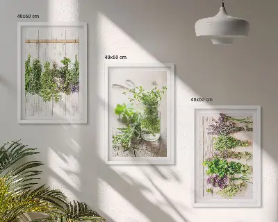 Žoliniai augalai 3 paveikslų rinkinys su rėmais