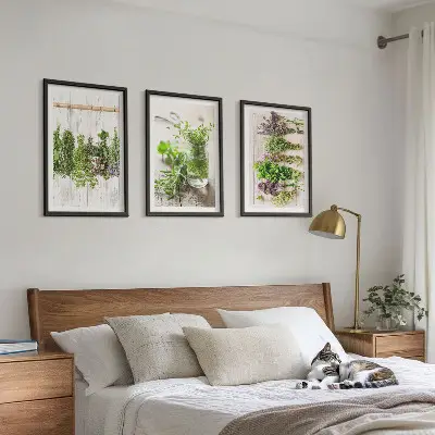 Žoliniai augalai 3 paveikslų rinkinys su rėmais