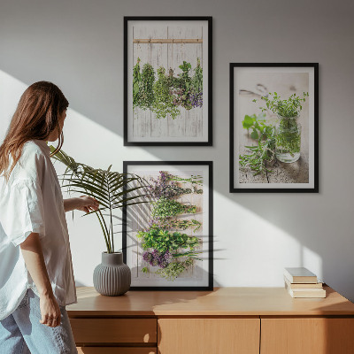 3 paveikslų rinkinys su rėmais Žoliniai augalai virtuvei