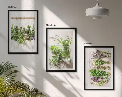 Žoliniai augalai 3 paveikslų rinkinys su rėmais