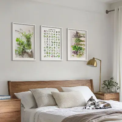 Džiovintų žolelių paveikslų rinkinys 3 paveikslai su rėmais