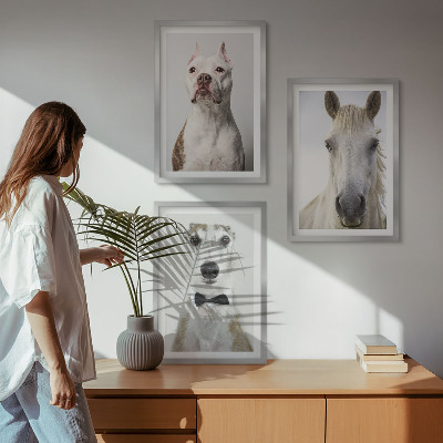 3 paveikslų rinkinys su rėmais Elegantiški šunų ir arklių portretai