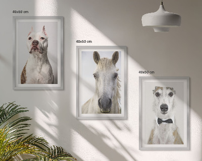 3 paveikslų rinkinys su rėmais Elegantiški šunų ir arklių portretai