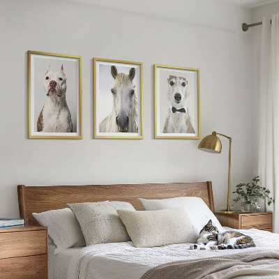 3 paveikslų rinkinys su rėmais Elegantiški šunų ir arklių portretai