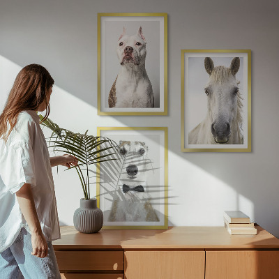 3 paveikslų rinkinys su rėmais Elegantiški šunų ir arklių portretai