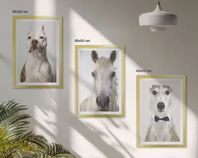 Elegantiškų šunų ir arklių portretų rinkinys 3 paveikslai su rėmais