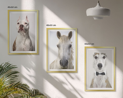3 paveikslų rinkinys su rėmais Elegantiški šunų ir arklių portretai