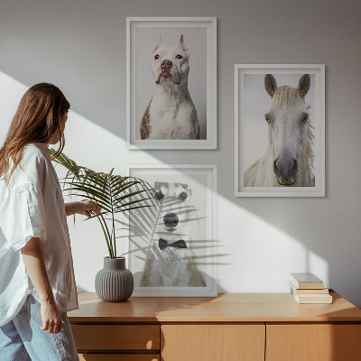 3 paveikslų rinkinys su rėmais Elegantiški šunų ir arklių portretai